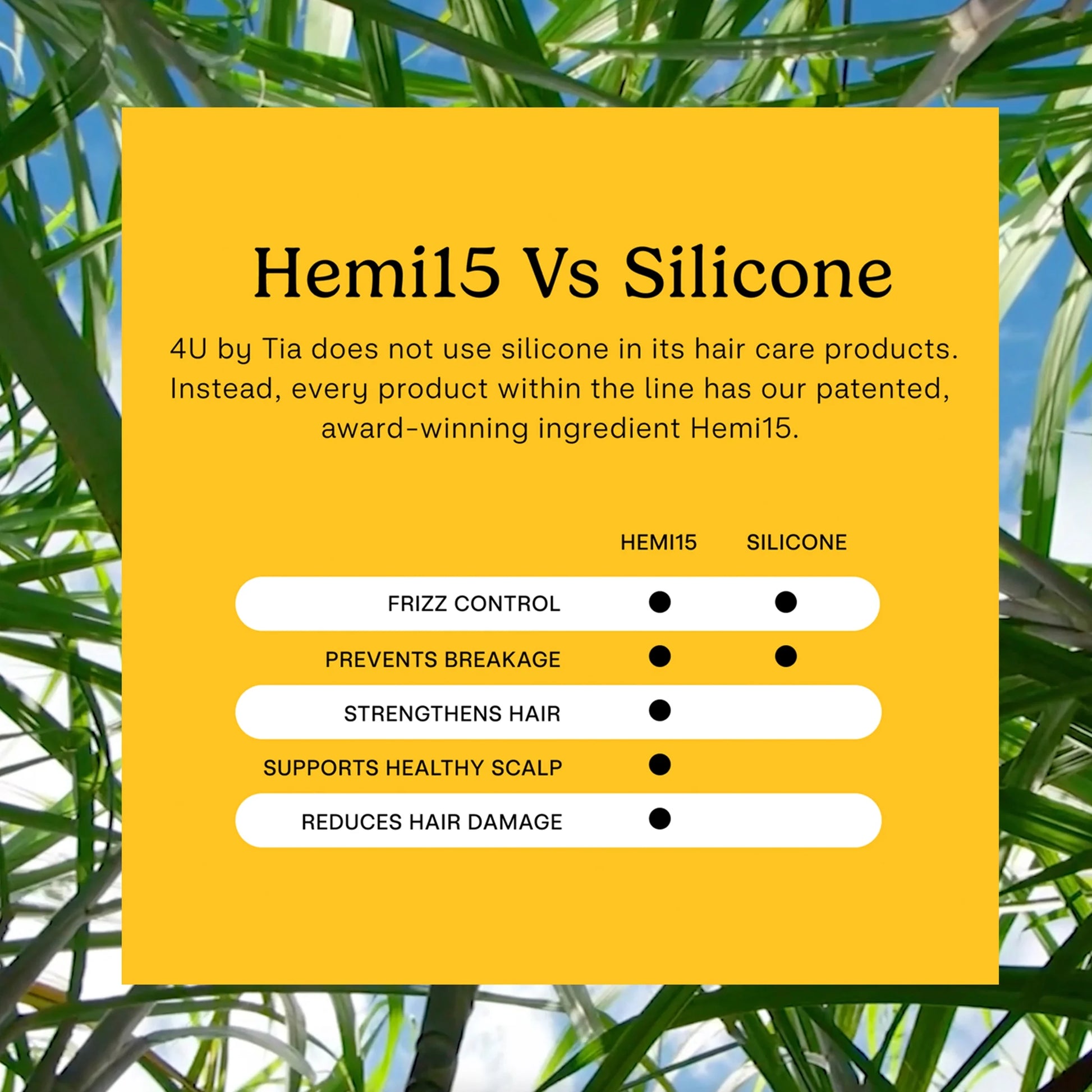 Clarifying Shampoo with Apple Cider Vinegar and Hemi15, 13 Fl Oz