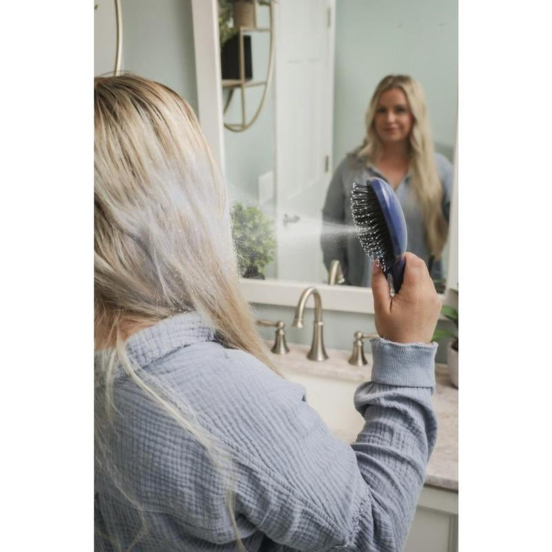 Mister Brush - 2-In-1 Brush/Mister Combo