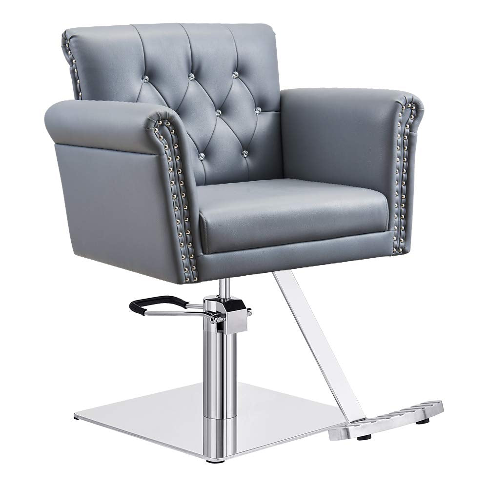 Salon Styling Chair Beauty Hydraulic Stylist Chair Lion