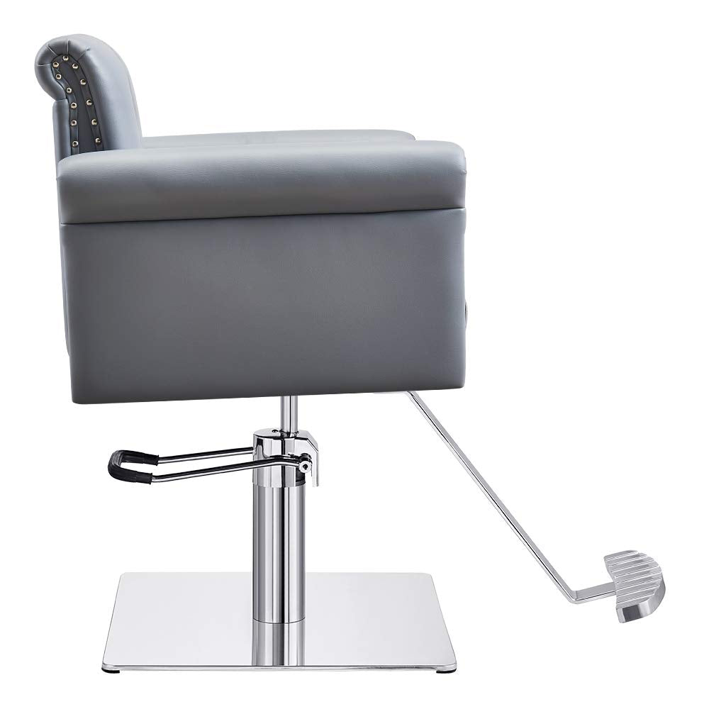 Salon Styling Chair Beauty Hydraulic Stylist Chair Lion