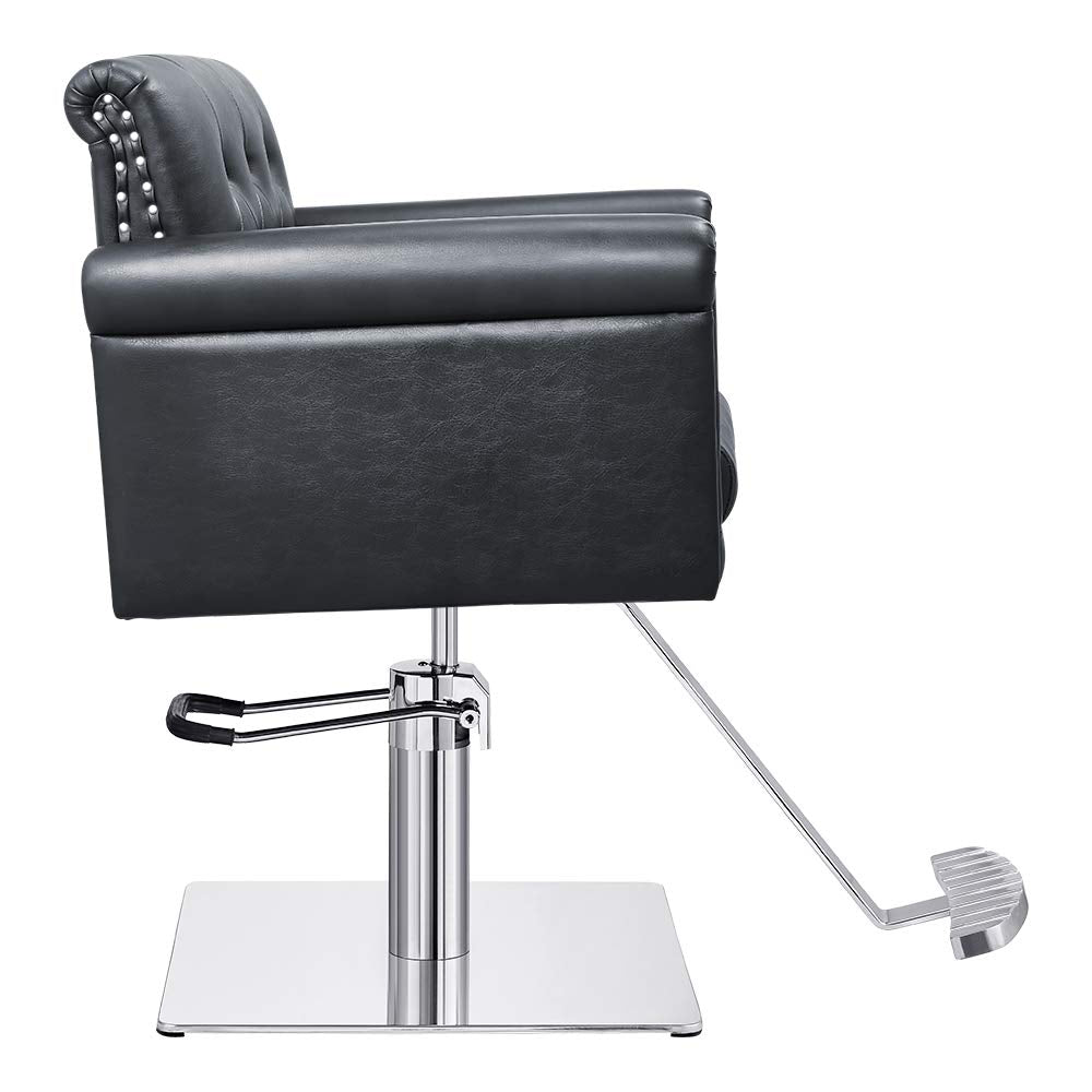 Salon Styling Chair Beauty Hydraulic Salon Stylist Chair Lion