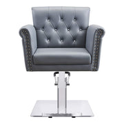 Salon Styling Chair Beauty Hydraulic Stylist Chair Lion